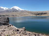 Ecosystem_Alliantie_200x150.jpg