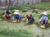 Gender_mainstreaming_200x150.jpg