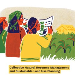 Cover 3. Collective Natural Resource Management and Sustainable Land Use Planning
