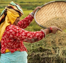 23_Oct_2021-_Kathmandu_Nepal-A_woman_separates_rice.jpg