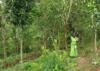 mediaitem/Foto_agroecologie_Kenia_2023_PELUM_Kenya