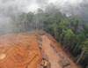 mediaitem/deforestation_2_
