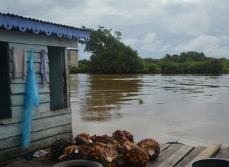 1 - Semanga is build along the banks of the Sambas river