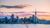 Auckland 1 - Canva