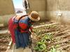 Inheemse Uru-vrouwen en waterbeheer in Bolivia