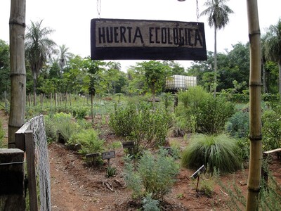 farmacia viva - jardin medicinal - eco granja yvapuruvu