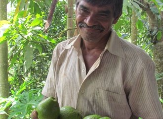 Avocado_s_Sri_Lanka