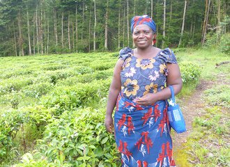 Organic_tea_farmer_Cameroon_