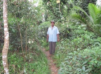 Tea_farmer_in_forest_garden-_Sri_Lanka