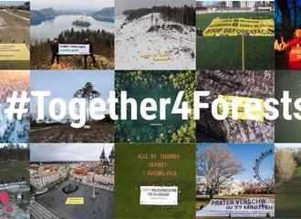 Together4forests_activities