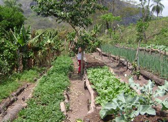 22_Bolivia agroecology