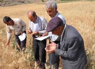 Farmers in Iran learning about local seeds. 