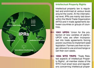 WTO and IPR 1