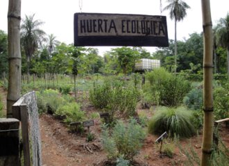 Medicinal garden of the eco-farm Yvapuruva, Paraguay Photo by Sobrevivencia