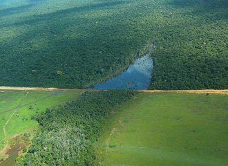 Ontbossing Amazonewoud Brazilië_2