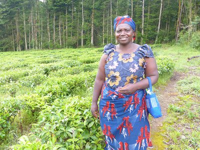 Organic tea farmer Cameroon_
