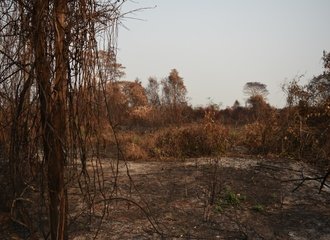 Pantanal burned_2020_Photo by Derick Victor