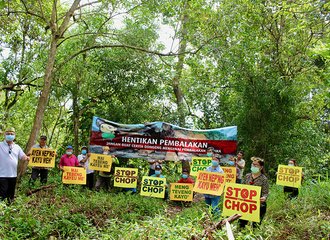Pic_Indigenous protests to stop the chop in Sarawak klein