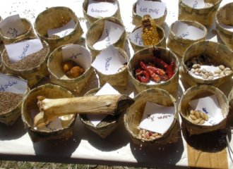 Various grains displayed at the exhibition