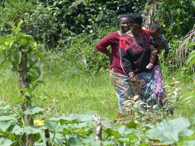 Women in Mbiame, Cameroon, have planted trees to border their vegetable gardens