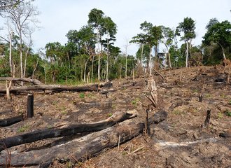 bugoma_Uganda_Environmental destruction arising from oil-induced land grabbing 