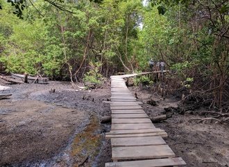 vervuild en verdroogd mangrovebos Suape