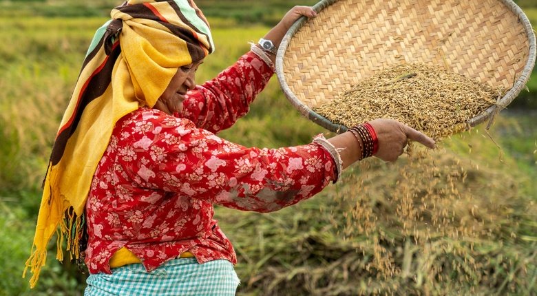 23_Oct_2021-_Kathmandu_Nepal-A_woman_separates_rice.jpg