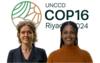 Advocating for Local Solutions: Both ENDS at UNCCD COP16 to Champion ...