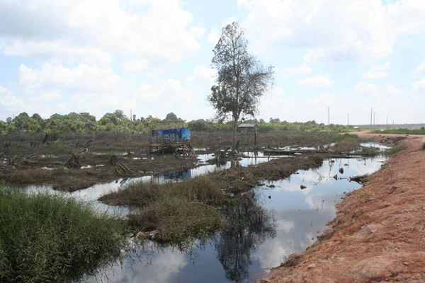 degraded_area_fdag_1_IMG_1040 degraded_area_fdag_1_IMG_1040