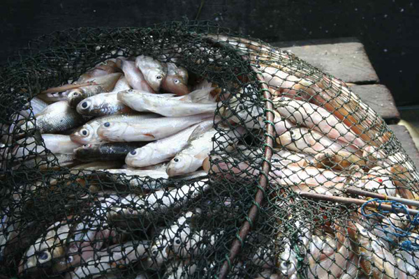 vis_dag_1_IMG_1090 vis_dag_1_IMG_1090