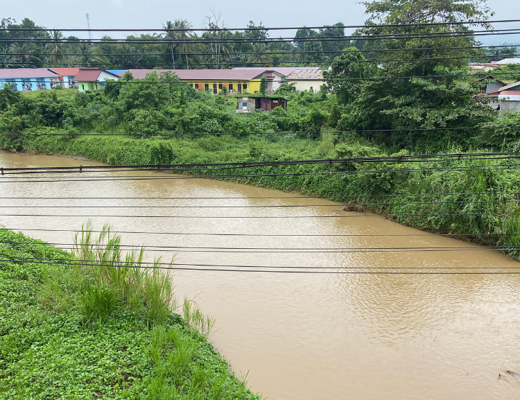 4. The rivers are murky and brown from mixing with the tailings from the mines