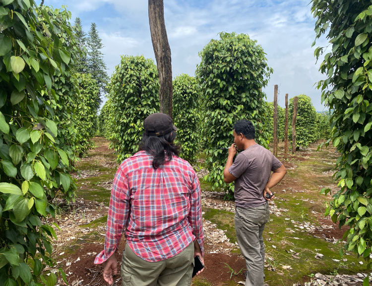 8._This_pepper_farmer_had_land_taken_away_for_nicke