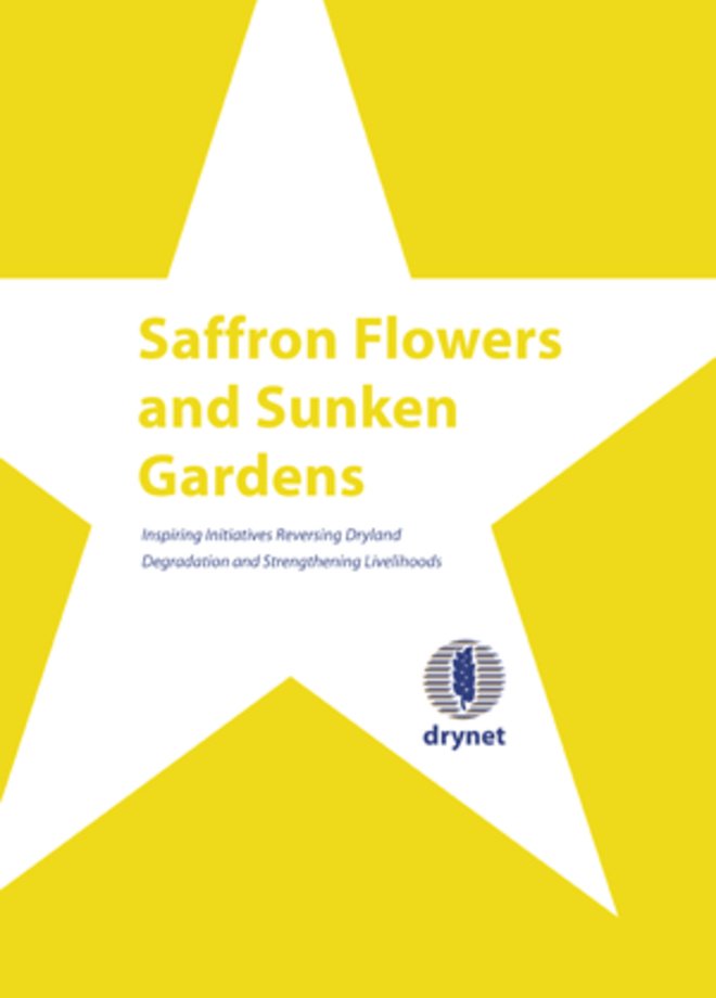 090914_Drynet_Saffron_flowers_and_sunken_gardens_english-1