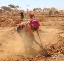 mediaitem/1Preparing_the_soil_for_regeneration_Niger