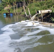 mediaitem/1paper_industry_wastewater_pipe_in_Surabaya_river_In
