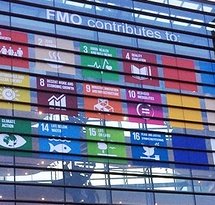mediaitem/FMO_and_SDGs