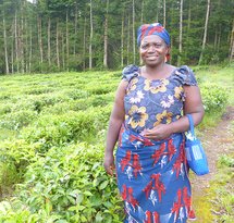 mediaitem/Organic_tea_farmer_Cameroon_