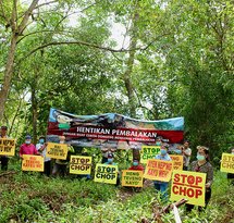 mediaitem/Pic_Indigenous_protests_to_stop_the_chop_in_Sarawak