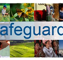 mediaitem/Safeguards_Wereldbank_-_AANGEPAST_FORMAT