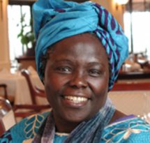 mediaitem/Wangari_Maathai_portrait_by_Martin_Rowe